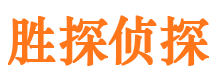 青龙侦探公司